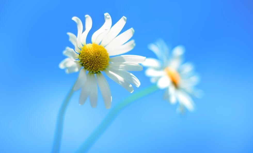 �����⹤���ҡ� Ghost Win8.1 32λ��64λ �������һ��2016.4